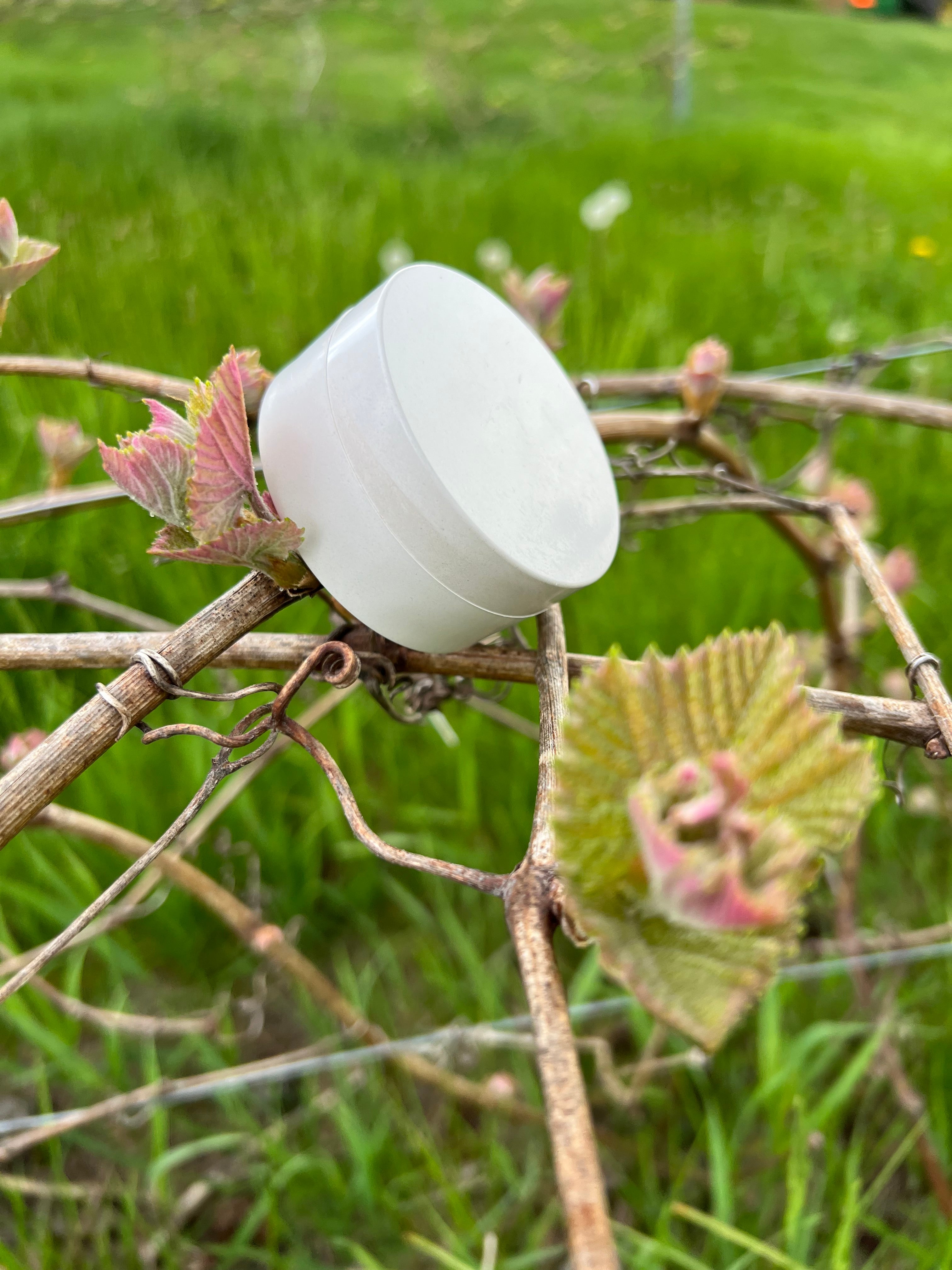 Foundation Powder in our new Plastic Free 100% Biodegradable jar!