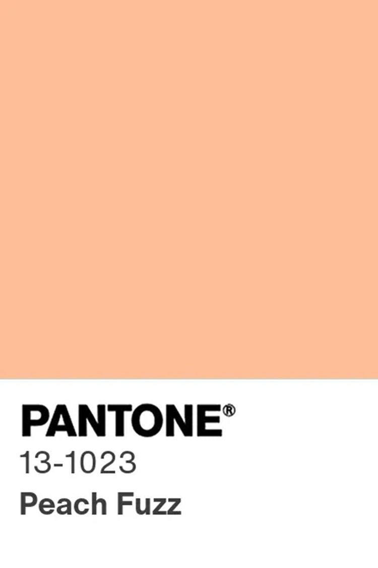 Color of the Season 2024