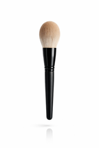 PB POWDER BRUSH